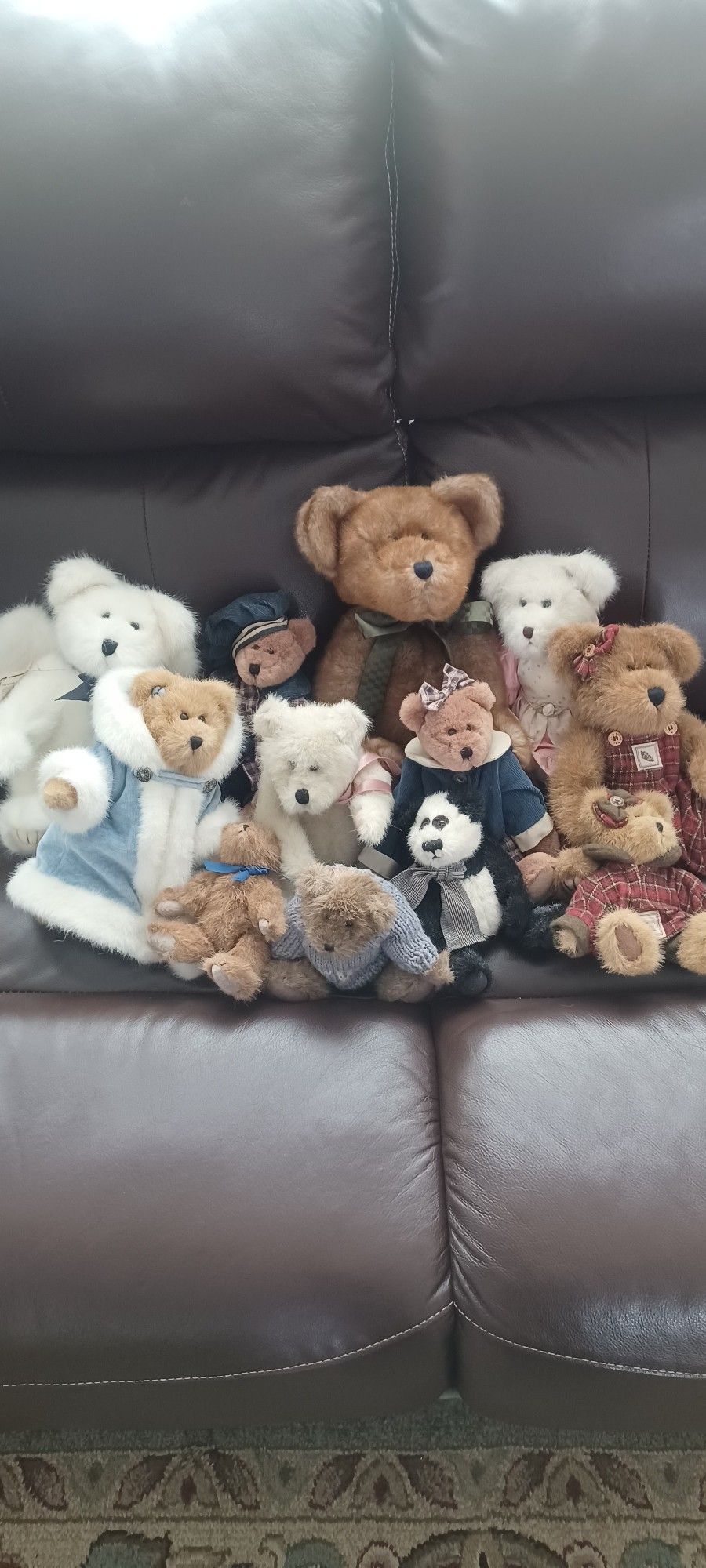 Boyd's Bears