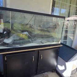 50 Gallon Fish Tank