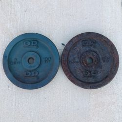 2 X 13.2 Lbs Weights 1 Inch Hole