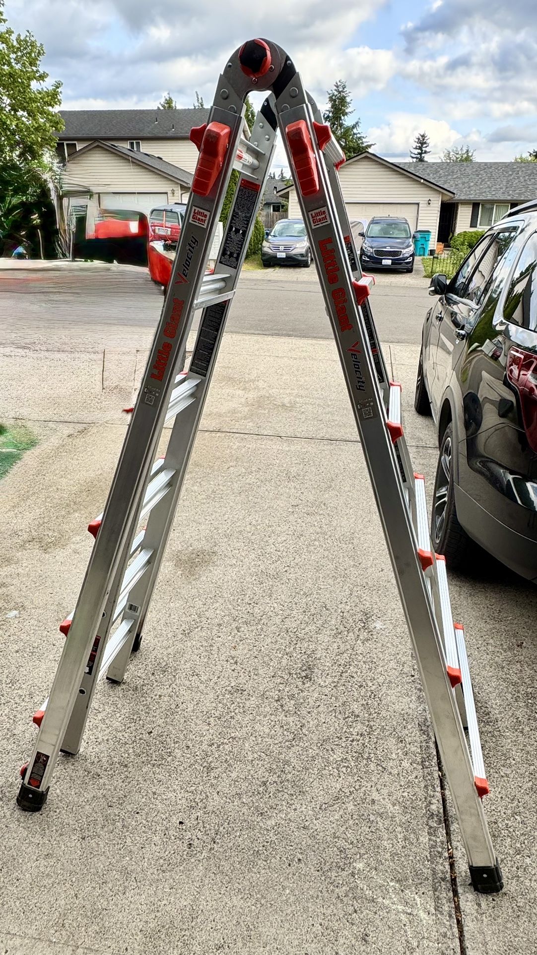 Little Giant Ladder