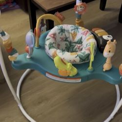 Baby Bouncer 