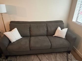 Gray Couch – Professionally Cleaned