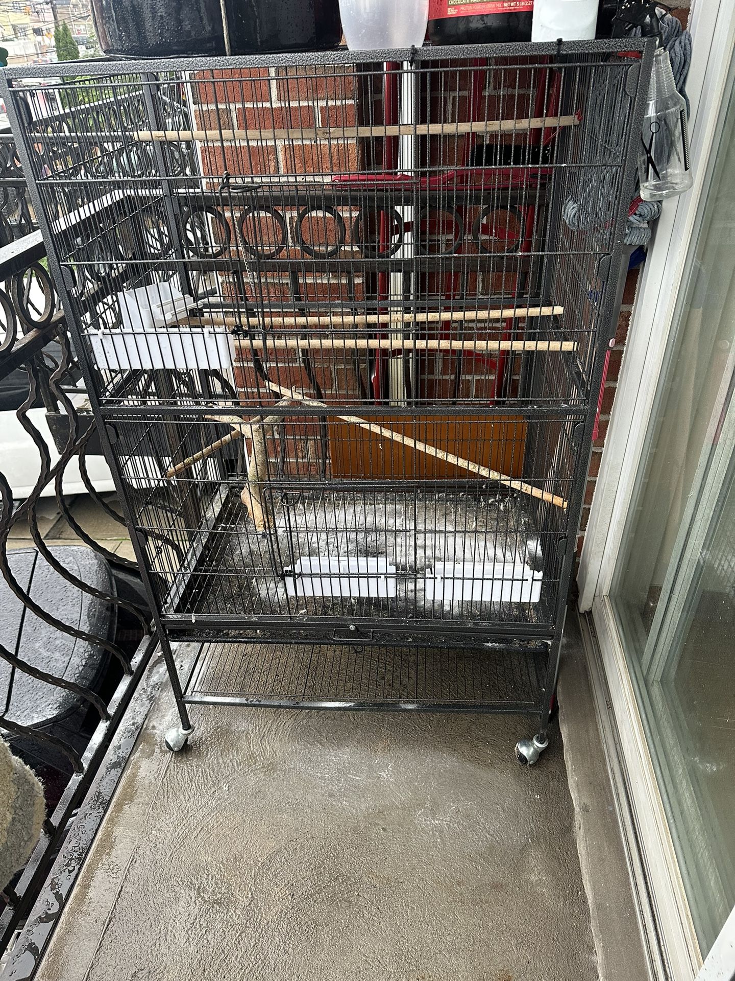 Bird Cage