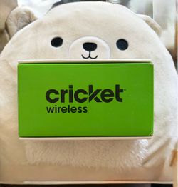 Samsung Galaxy a16 new Cricket 10/10