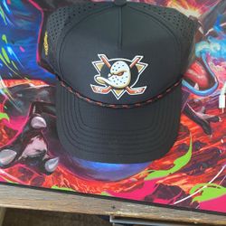 Ducks Snapback