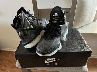 LEBRON XIX Size 9.5 New
