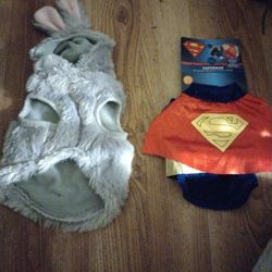 Puppy Or Small Dog Halloween Costumes