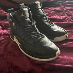 jordan 12 reptile sz 9.5