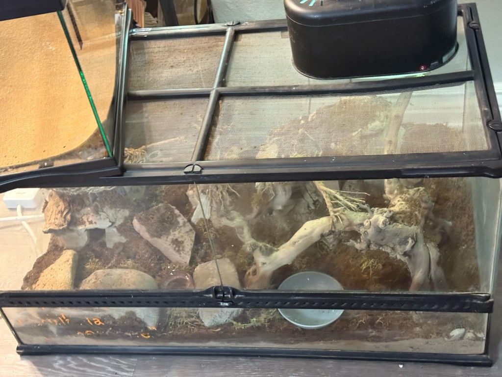 40 Gallon Reptile Tank