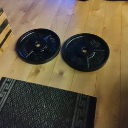 2-35 Pound Standard Barbell Plates