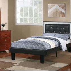 New Twin Size Bed With New Mattress 