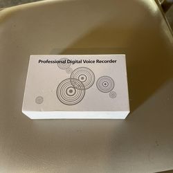 Mini Voice Recorder