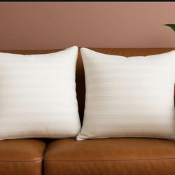 Set Of 2 Pillos  24x24 