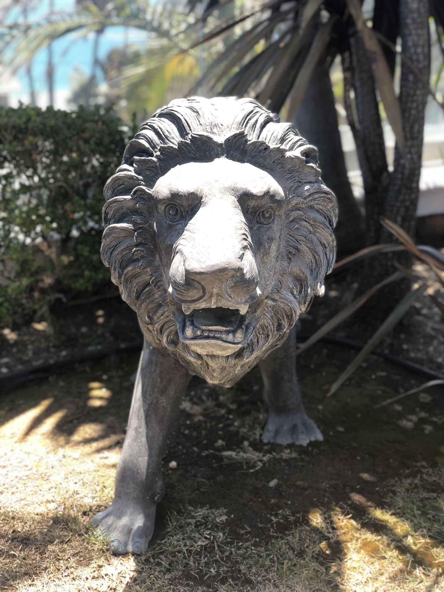 Two Lion Statues