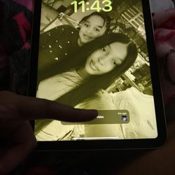 Ipad mini