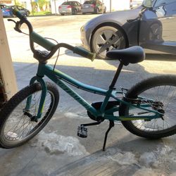Bicycle Kids