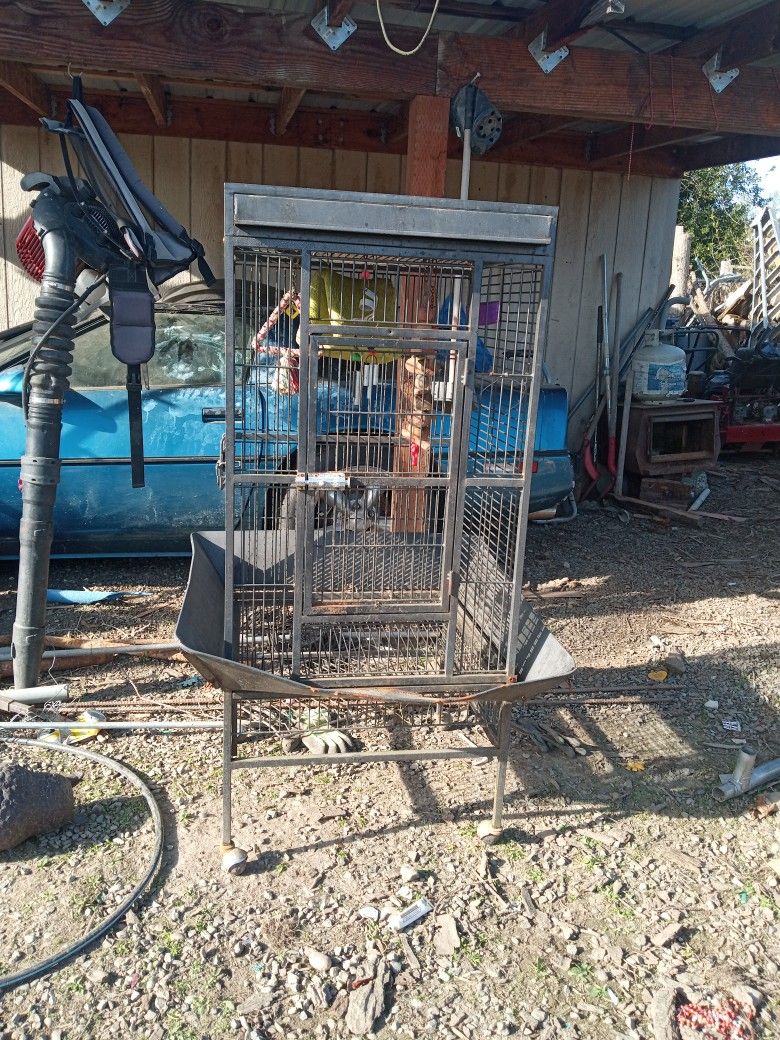 Birds Cage