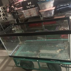 Glass Aquarium  - 50 Gal