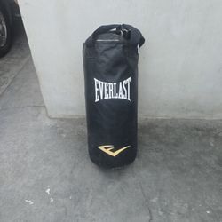Everlast 70 Lbs Punching Bag