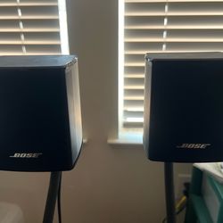 Bose virtually invincible 300