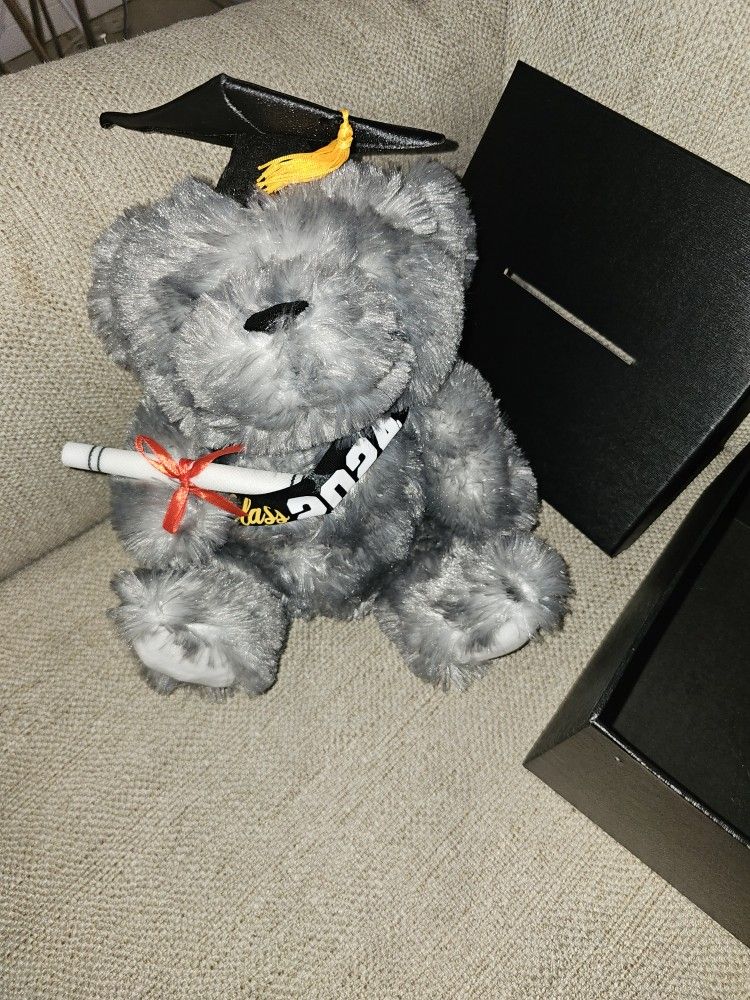 Graduate Teddy bear