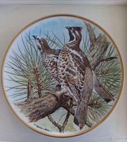 Gamebirds of the world