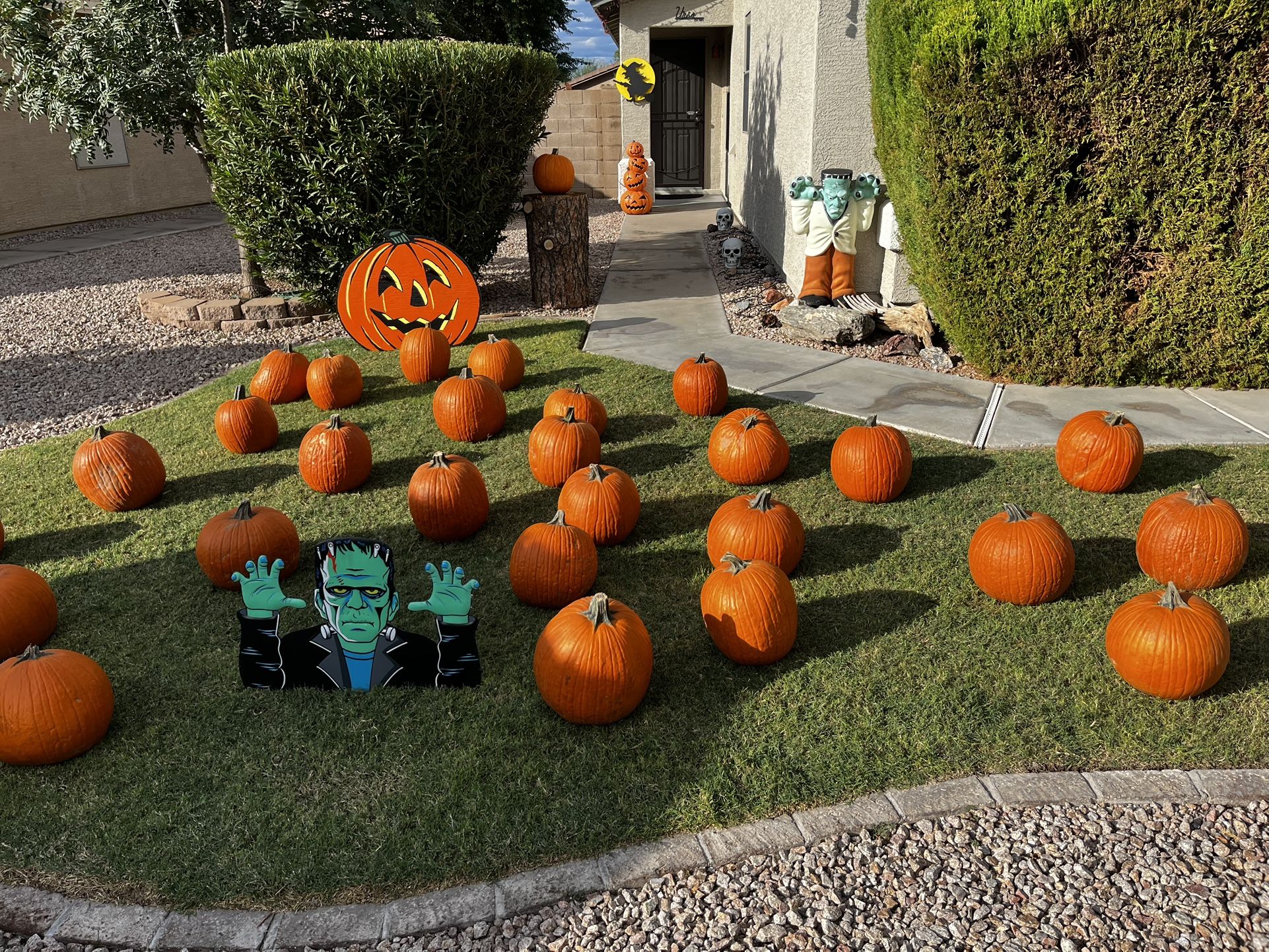 FREE Pumpkin Patch In San Tan Valley FREE