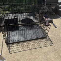 Dog Kennel 