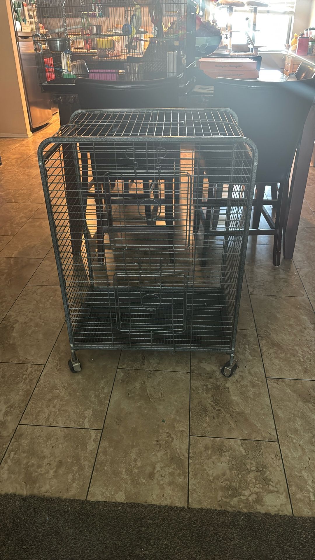 Bird Cage