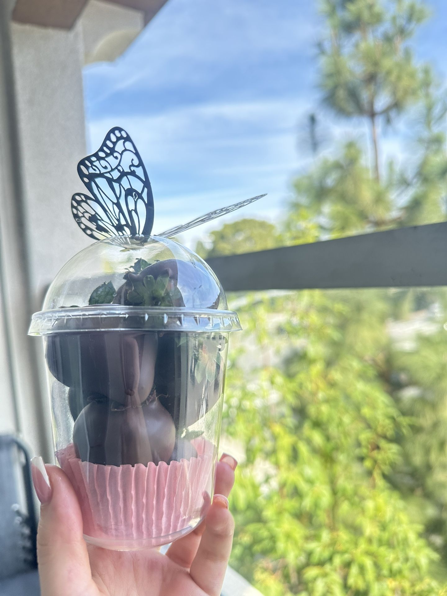 Valentines Gift / Valentine’s Day