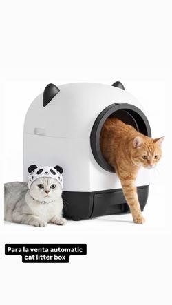 Cat litter box automatic