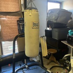 Punching Bag And Stand 145$ OBO