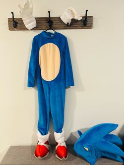 Sonic costume for children.