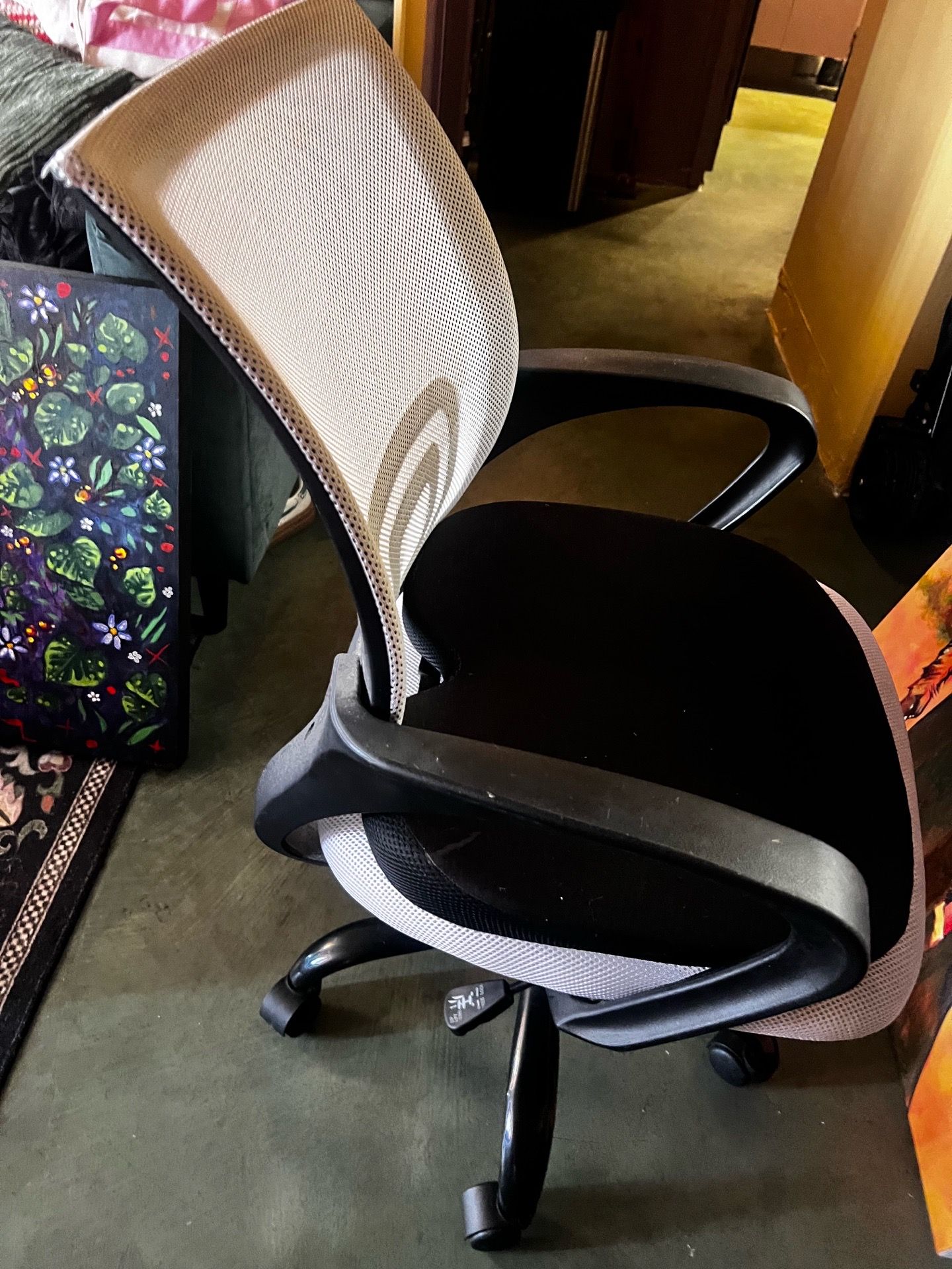 Office chair and cushion