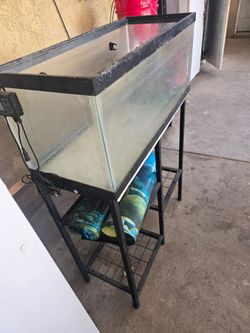 Large Glass Aquarium Tank with Metal Stand
