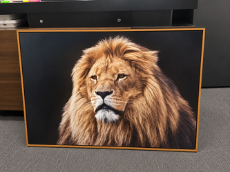 Majesty of the King – 24" x 36" Framed Lion Wall Art