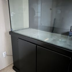 100 gallon fish tank