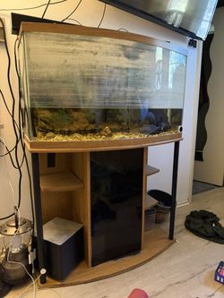 55 gallon fish tank W Stand Complete