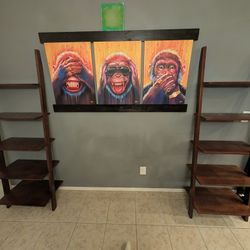 5 Tier Leaning Ladder Bookshelf  (Set Of 2)