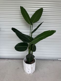 Artificial Plant w/ planter - Model Home decor