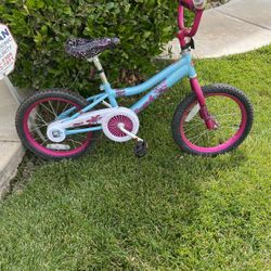16” Girl (dragonfly) Bicycle