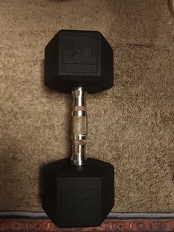 20 lb Hex Dumbbell – Single