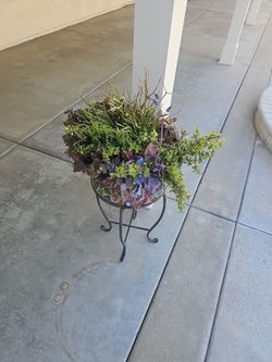 Plant and table