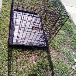 Dog Kennel 