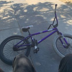 Custom Rant Bmx