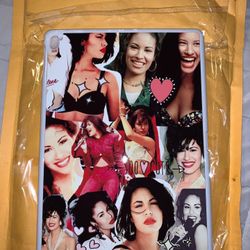 SELENA iPad Pro 9.7 case $15