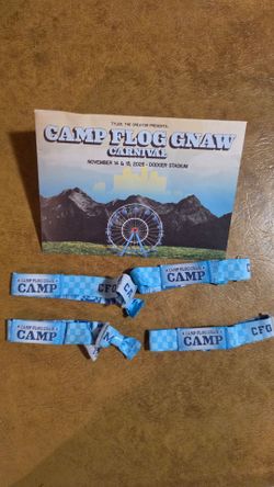 Camp Flog Gnaw wristband