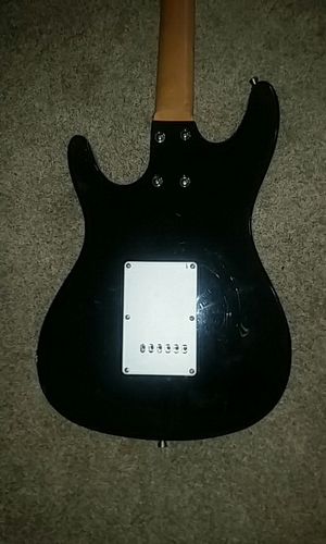 Assassin Guitar By Bguitars