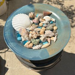Seashell Decorative Plate