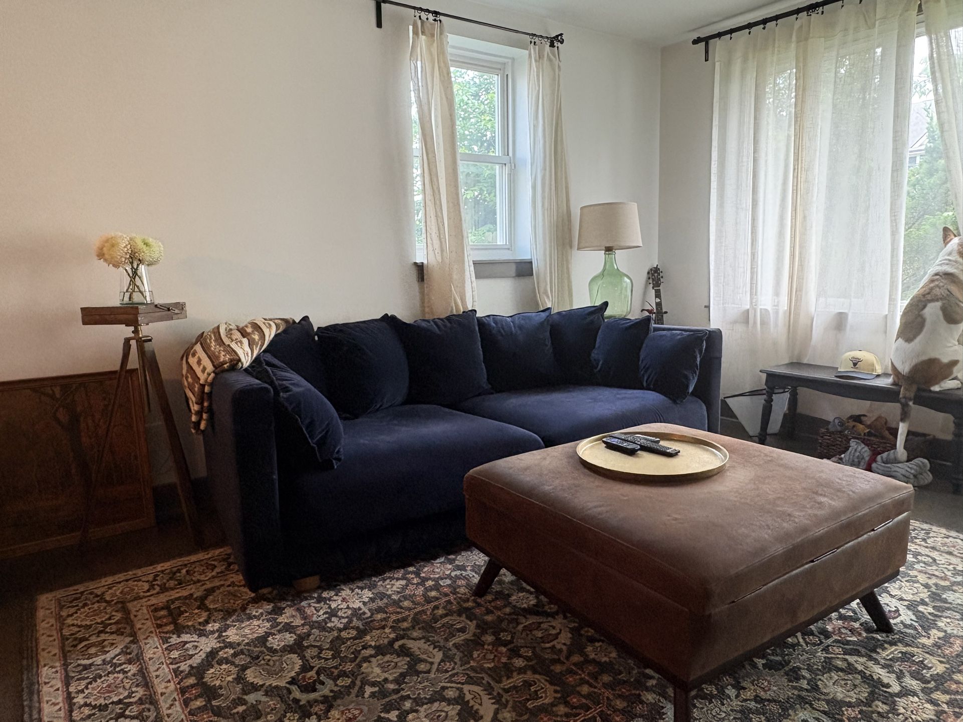 Blue Velvet Couch